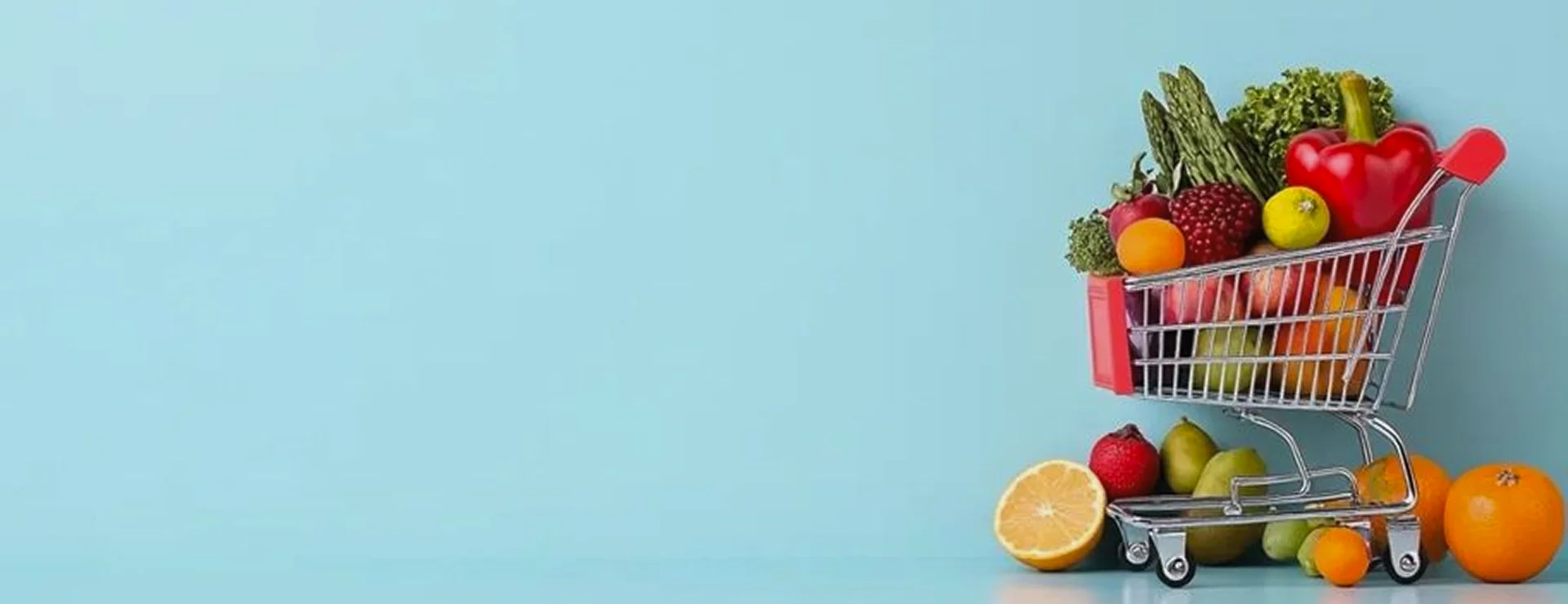Sustainable Materials 101: What to Look for When You Shop